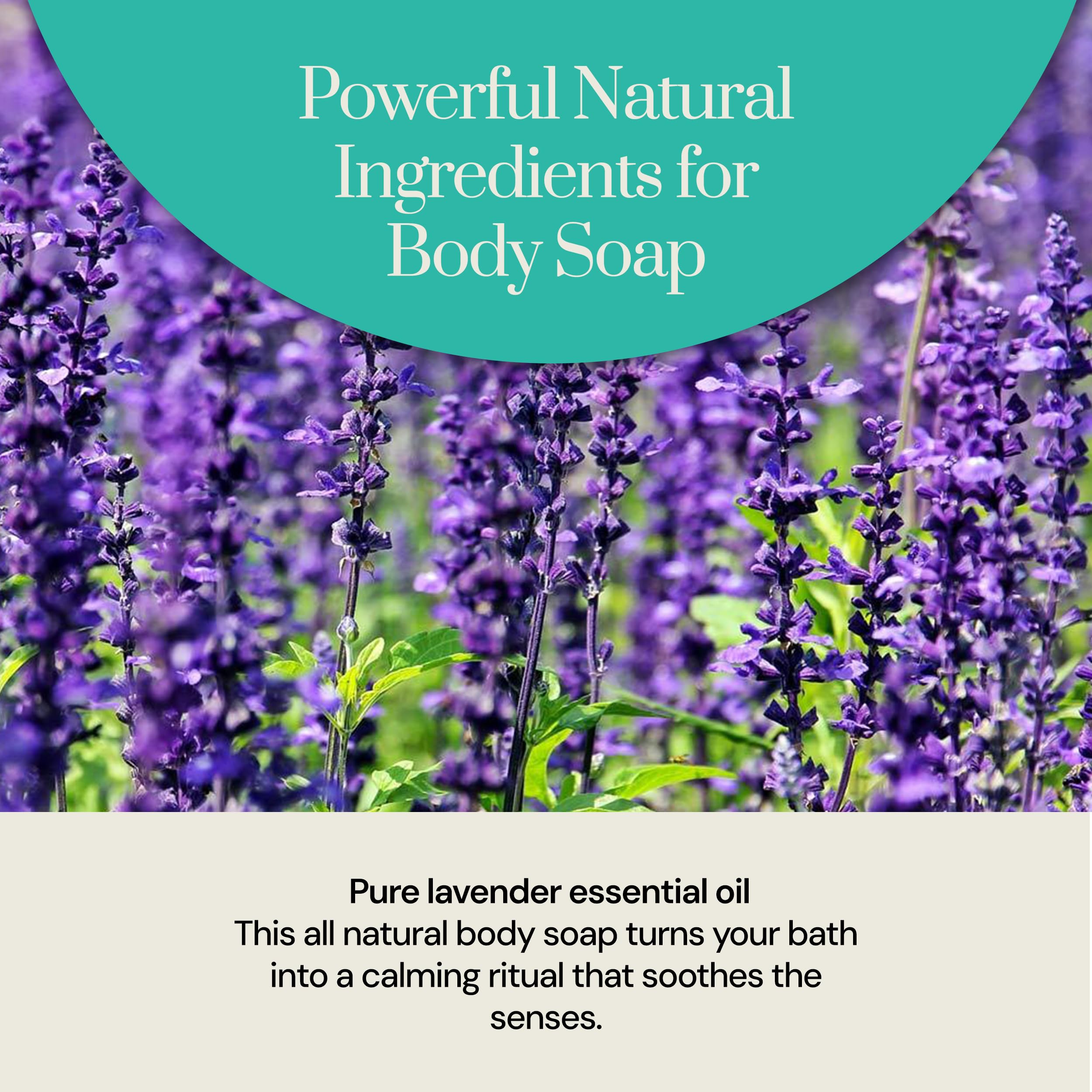 Soapstones Pure Lavender Cold Processed Soap - Shea Butter, Cocoa, Castor & Olive Oil Infused Hydrating Soap Bar - Essential Oil Infused Natural Body Bar Soap